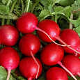 Редис Родос Редис Родос
